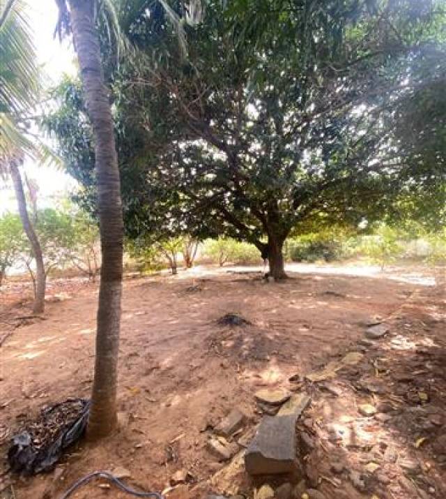 WhatsApp Image 2025-09-30 at 12.16.59 1.jpeg